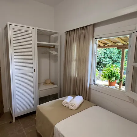 Sycamore House Apartment